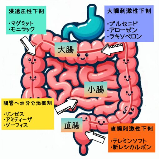 下剤種類